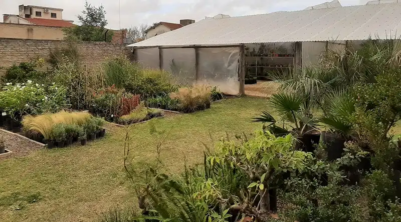 Vivero Tierra Viva